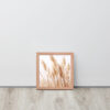 Dried Prairier Pampas Grass | Framed Poster