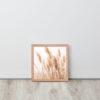 Dried Prairier Pampas Grass | Framed Poster