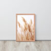 Dried Prairier Pampas Grass | Framed Poster