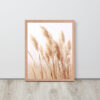 Dried Prairier Pampas Grass | Framed Poster