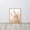 Dried Prairier Pampas Grass | Framed Poster