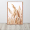 Dried Prairier Pampas Grass | Framed Poster