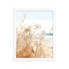 White Flowers Grass Wall Art with Seascape Background | Framed poster