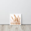 Dried Prairier Pampas Grass | Framed Poster