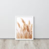 Dried Prairier Pampas Grass | Framed Poster