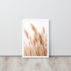 Dried Prairier Pampas Grass | Framed Poster