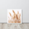 Dried Prairier Pampas Grass | Framed Poster