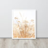 Dried Prairier Grass White Flowers | Framed Poster