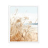 White Flowers Grass Wall Art with Seascape Background | Framed poster