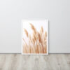 Dried Prairier Pampas Grass | Framed Poster