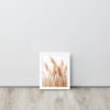 Dried Prairier Pampas Grass | Framed Poster