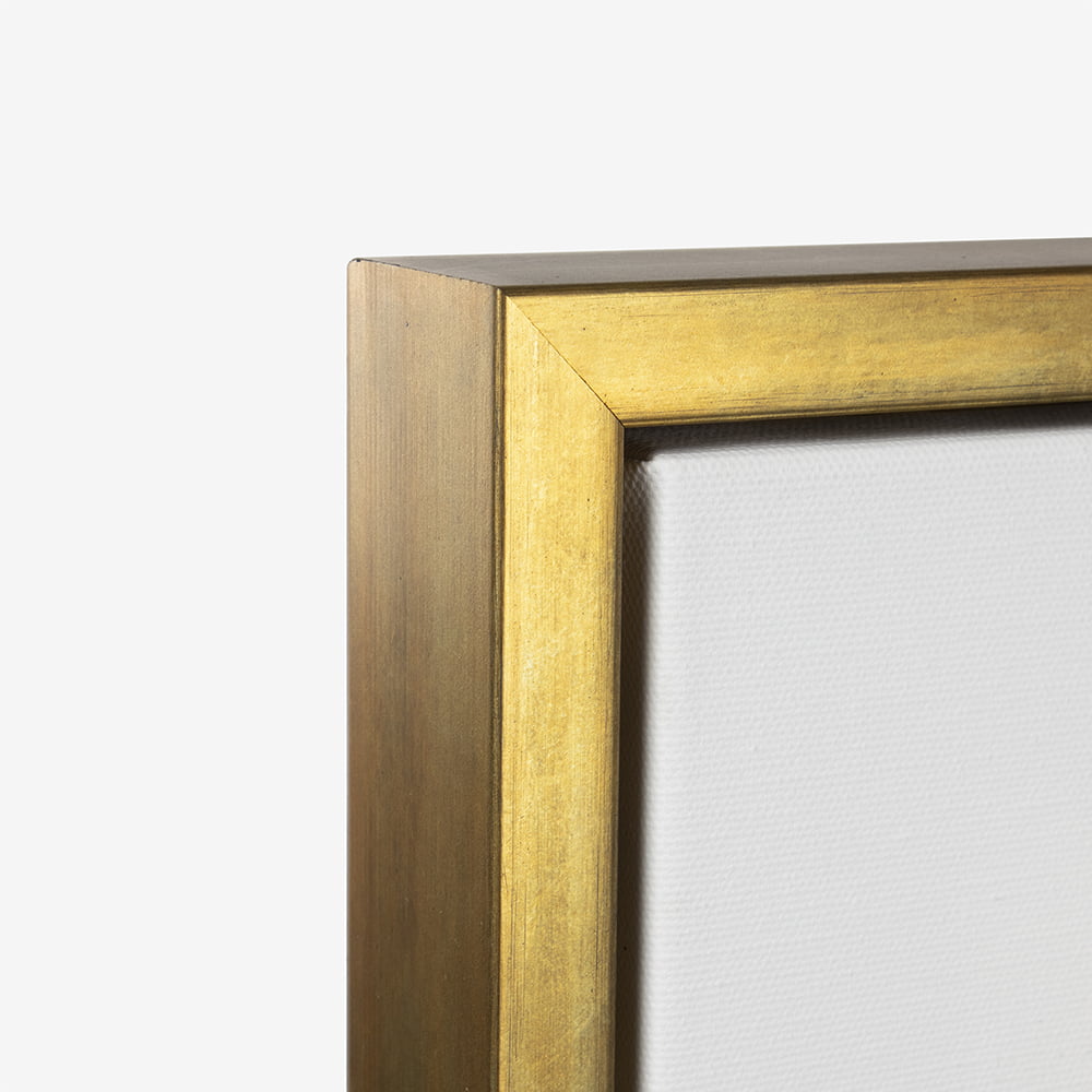 Canvas Floating Frame Detail - Antique Gold