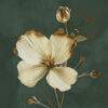 Zoomed In Detail of Dark Moody Botanical Floral Golden Cosmos Flowers