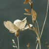Zoomed In Detail of Dark Moody Botanical Wall Art Set of 3, Wild Cosmos Flowers, Dark Green Background
