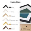 Classic Framed Poster Framing Options - with an optional mat / mount. Available in Antique Silver, Antique Gold, Brown, Natural, White, Black